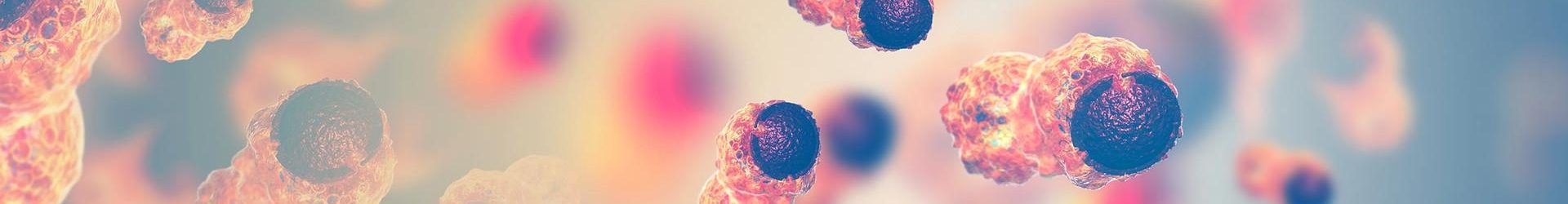 recherche_fondamentale_cancer_ligue92