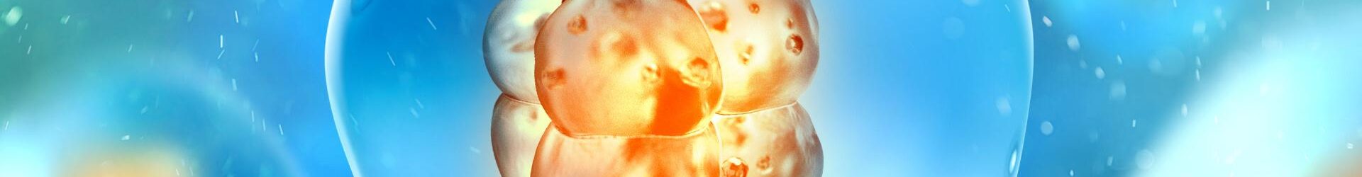 shutterstock_723555214